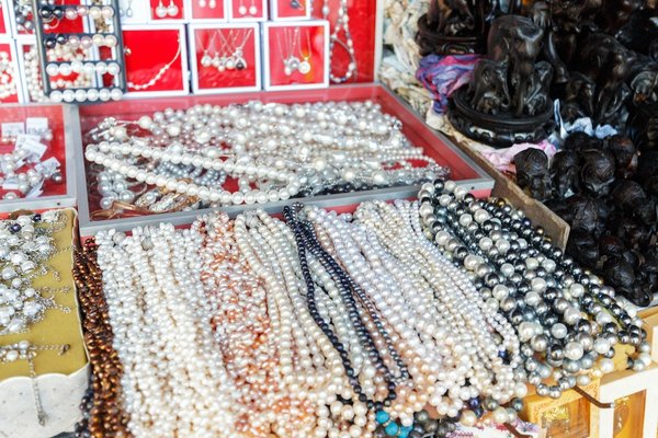 Quels avantages la location de vacances peut-elle offrir pour des souvenirs de voyage exceptionnels ?